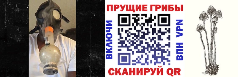 дарнет шоп  Кумертау  Галлюциногенные грибы прущие грибы 