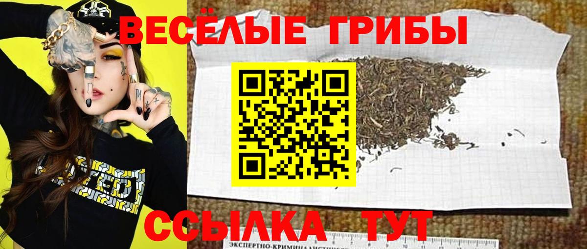 Галлюциногенные грибы GOLDEN TEACHER Кумертау