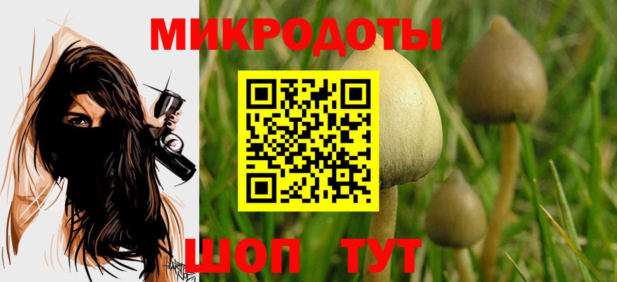 Галлюциногенные грибы Cubensis  Вход с VPN  Кумертау 